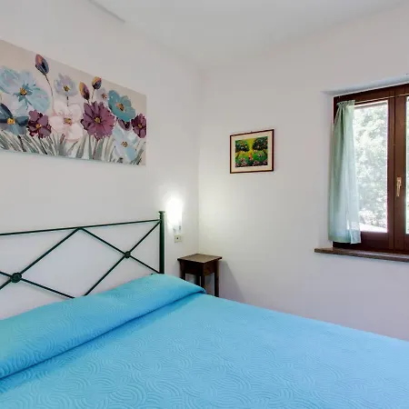 In With Pool & Nature