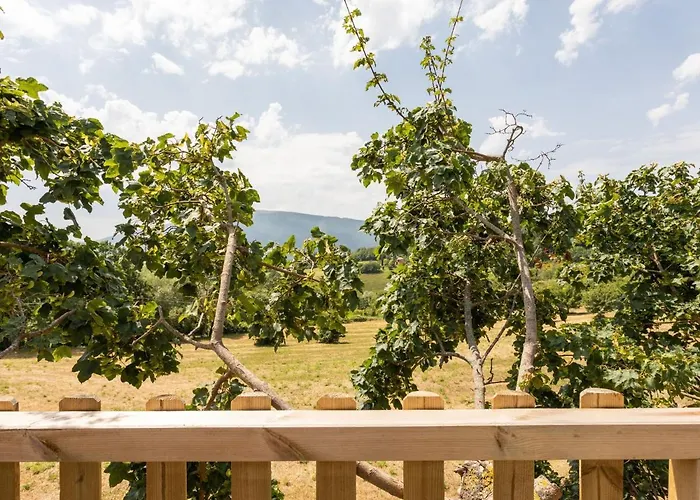 Casa vacanze In With Pool & Nature *